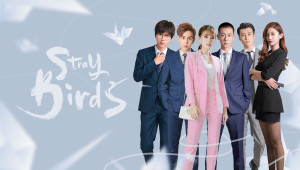 Xem Phim Bầy Chim Lạc